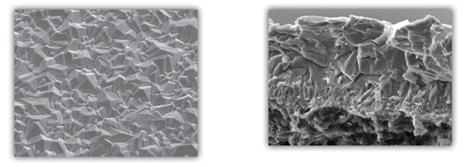 Oberflächen- und Bruchanalyse